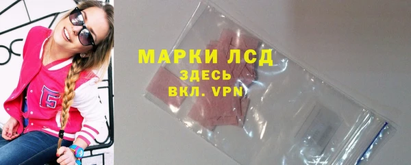 гашик Михайловск