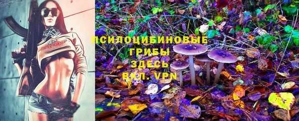 гашик Михайловск