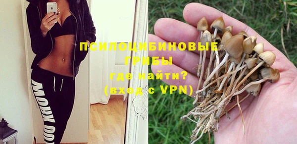 гашик Михайловск