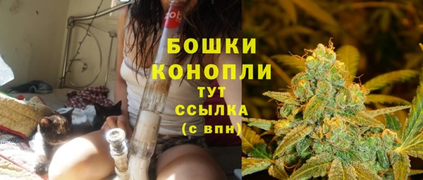 гашик Михайловск