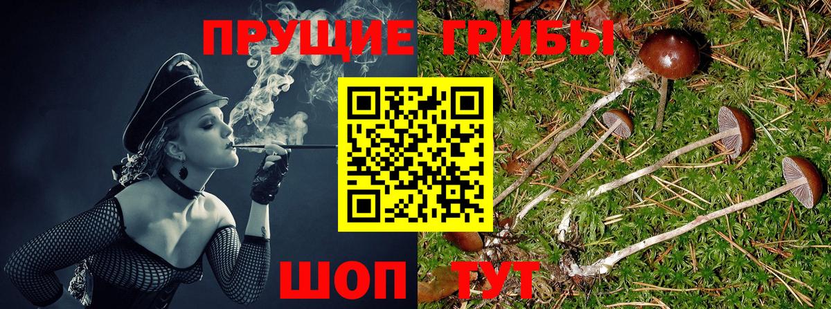 Галлюциногенные грибы прущие грибы Братск
