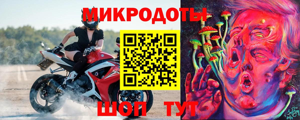 Псилоцибиновые грибы Psilocybe Братск