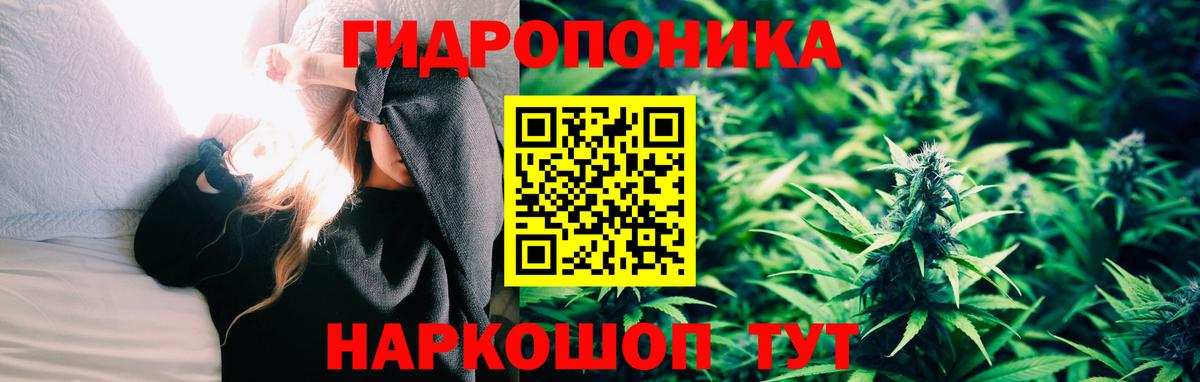 Бошки Шишки тримм  Бошки Шишки SATIVA & INDICA  Каннабис SATIVA & INDICA  Братск  Вход с VPN 